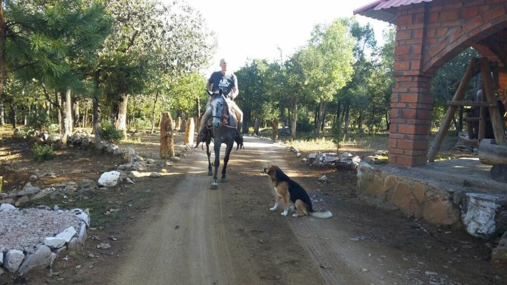 Rancho Cabanas San Isidro Cerocahuí Eksteriør bilde